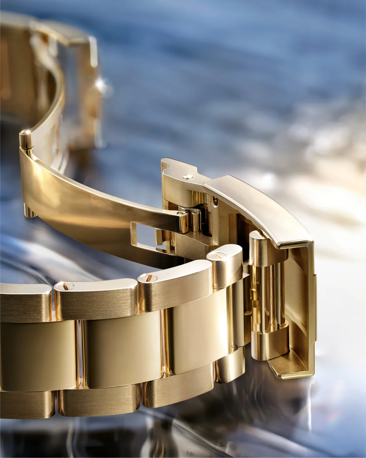 Oyster bracelet